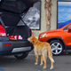 Illustration for article titled 2015 Chevy Trax: A Straight-Edge College Student That Still Gets Laid